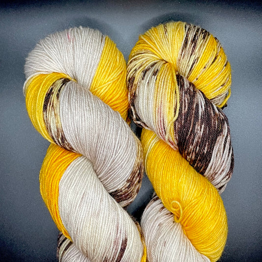 Lesser Goldfinch on Perfect Sock