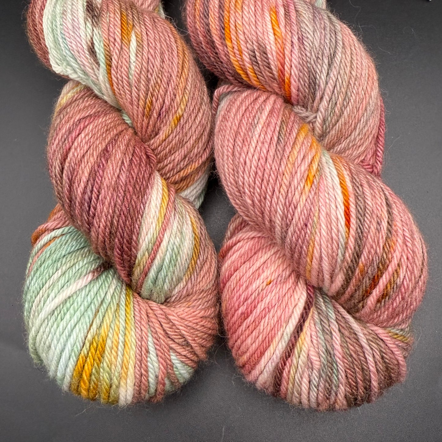August Echinacea on Classic Merino